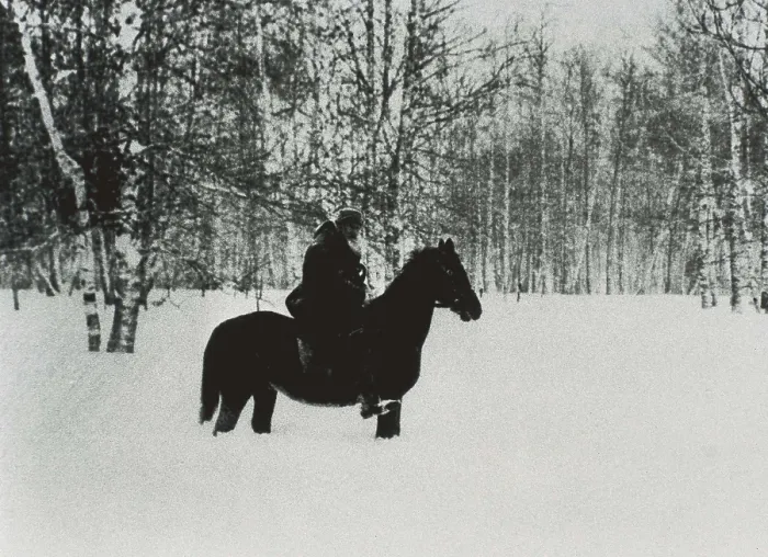 Framed Print : TOLSTOY, Lev Nikolayevich, Leo (1828-1910). Portrait of Leo Tolstoy riding a horse along the surroundings of his house at the autumn of 1909. RUSSIA. TULA. Ysnaia Poliana