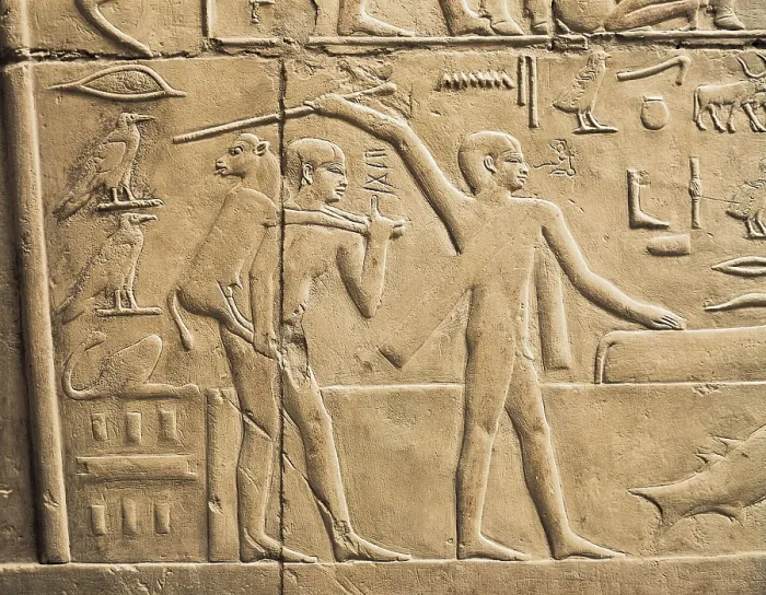 Framed Print : Tomb of Kagemni. ca. 2323 BC. EGYPT. Saqqara. Cattle way through a water channel. Egyptian art. Old Kingdom. Relief. AISA / Everett Collection**US SALES ONLY**