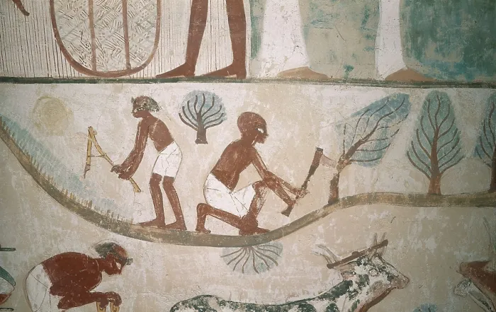 Framed Print : Tomb of Menna. EGYPT. Dayr al-Bahri. Valley of the Nobles. Tomb of Menna. Farming scene. Egyptian art. New Kingdom. Painting. AISA / Everett Collection**US SALES ONLY**