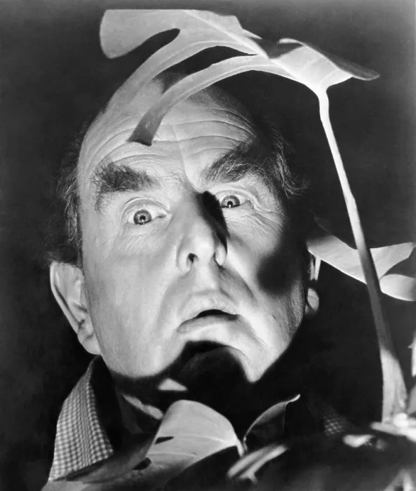 Framed Print : TOPKAPI, Robert Morley, 1964 Framed Print : TOPKAPI, Robert Morley, 1964