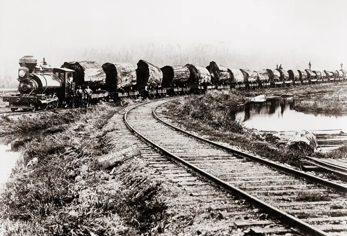 Framed Print : Train of huge redwood logs of the Excelsior Redwood Company of Eureka, California. Ca. 1900 Framed Print : Train of huge redwood logs of the Excelsior Redwood Company of Eureka, California. Ca. 1900