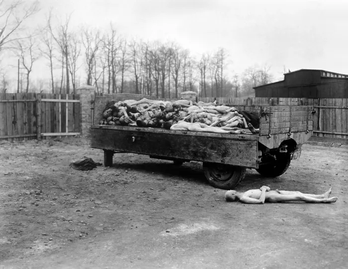 Framed Print : A truck load of bodies of dead prisoners of the Nazis, at Buchenwald concentration camp. Their disposal was interrupted when the camp was captured by troops of the 3rd U.S. Army