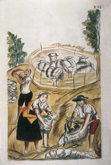 Framed Print : Trujillo del Per at the end of 18th c.: drawings and watercolours commissioned by the Bishop D. Baltasar Jaime Martnez Compan. Picture with Indians shearing. Engraving. SPAIN