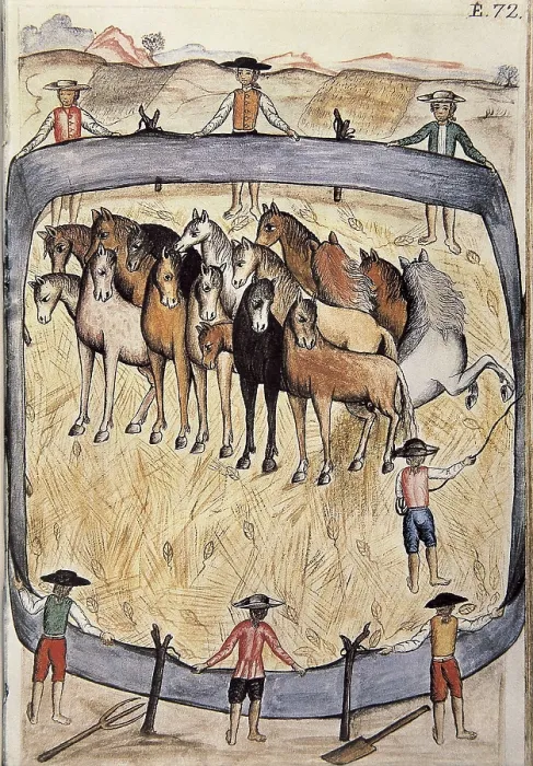 Framed Print : Trujillo del Per (end 18th c.): drawings and watercolours made by order of the bishop D. Baltasar Jaime Martnez Compan. Indians breaking horses. Engraving. SPAIN. Madrid