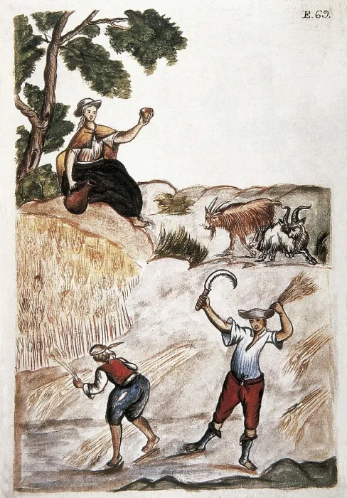 Framed Print : Trujillo del Per (end 18th c.): drawings and watercolours made by order of the bishop D. Baltasar Jaime Martnez Compan. Indians reaping wheat. Engraving. SPAIN. Madrid