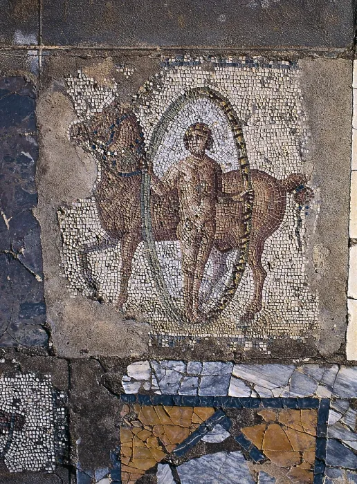 Framed Print : TUNISIA. Carthage. House of Horses. Opus tessellatum with equestrian scene. Roman art. Mosaic. AISA / Everett Collection**US SALES ONLY**