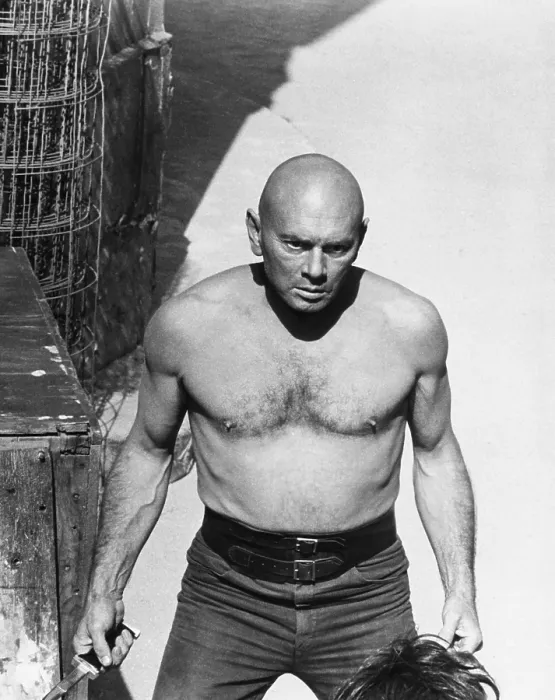 Framed Print : THE ULTIMATE WARRIOR, Yul Brynner, 1975 Framed Print : THE ULTIMATE WARRIOR, Yul Brynner, 1975