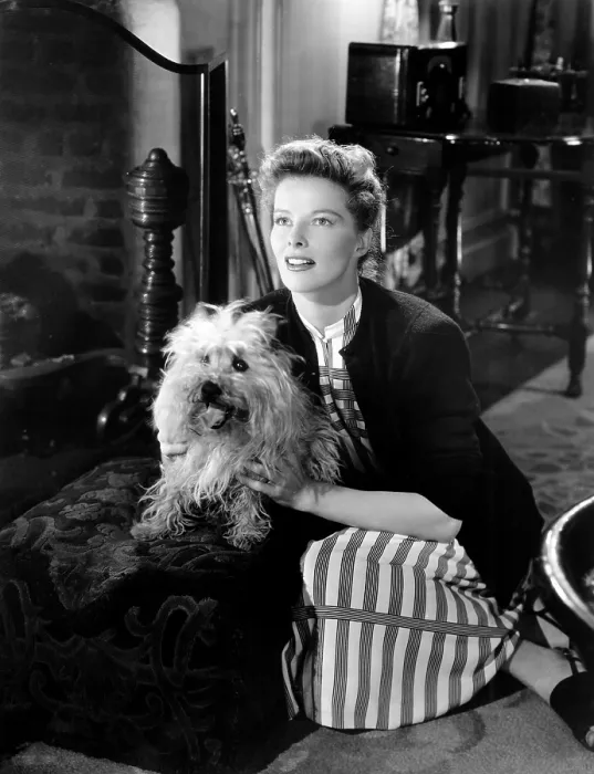 Framed Print : UNDERCURRENT, Katharine Hepburn, 1946
