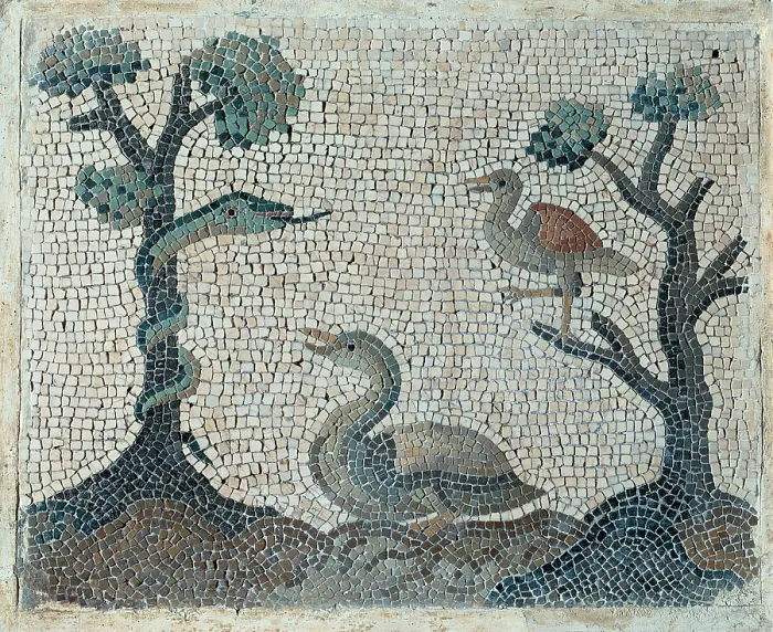 Framed Print : Unknown artist, Emblemata with water-fowls, 18th Century, polychrome mosaic, Italy, Lazio, Rome Framed Print : Unknown artist, Emblemata with water-fowls, 18th Century, polychrome mosaic, Italy, Lazio, Rome
