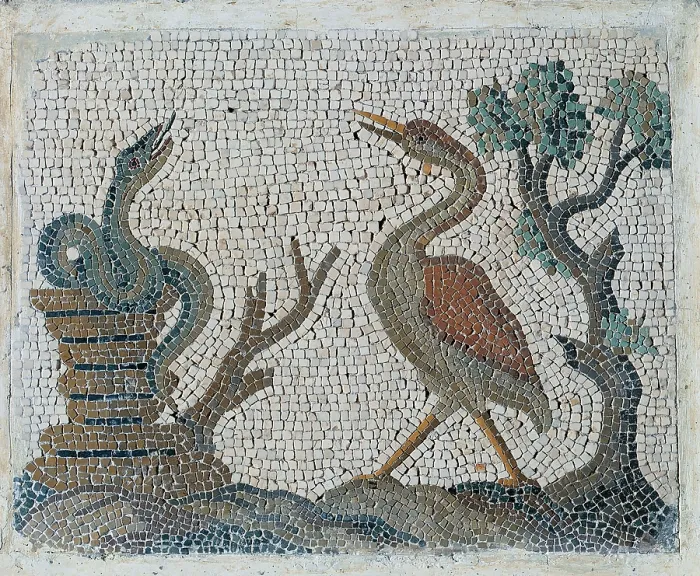 Framed Print : Unknown artist, Emblemata with water-fowls, 18th Century, polychrome mosaic, Italy, Lazio, Rome Framed Print : Unknown artist, Emblemata with water-fowls, 18th Century, polychrome mosaic, Italy, Lazio, Rome