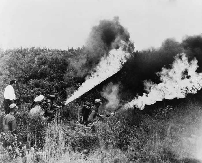 Framed Print : U.S. Marines under the police direction turn flame throwers on a field of marijuana plants in Chicago. August 15 1958