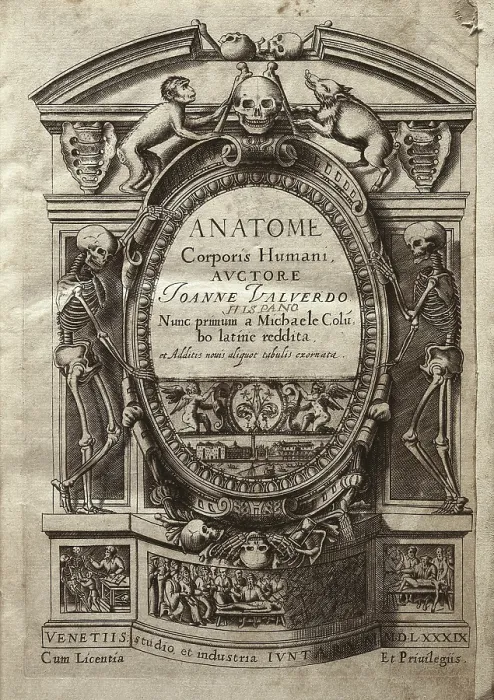 Framed Print : VALVERDE DE AMUSCO, Juan (1525-1588). Anatome Corporis Humani. 1589. Edition printed in Venice. Frontispiece. Engraving. SPAIN. Barcelona