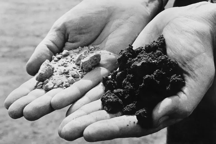 Framed Print : Two varieties of sand from an oil drilling district. The hand on the left holds dry, oil-less sand, while the other holds sand rich and dark with oil