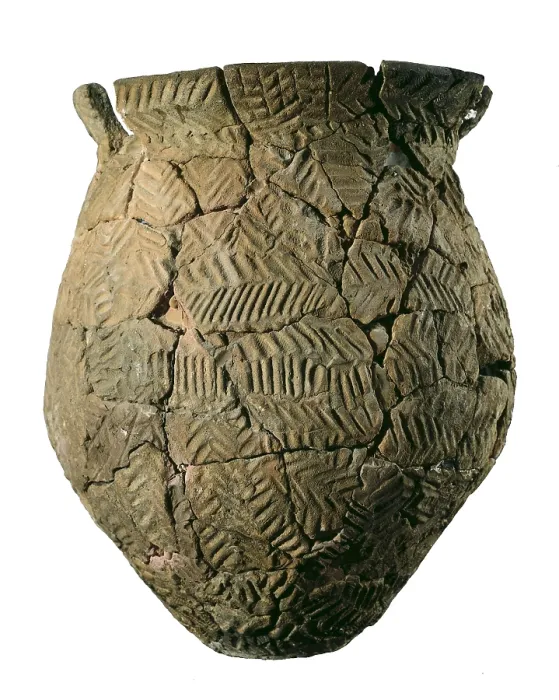Framed Print : Vase of the Hallstatt Culture (9th-5th c. BC.). Iron Age. Ceramics. SPAIN. Solsona. Diocesan and Regional Museum. Proc: SPAIN. CATALONIA. Solsons