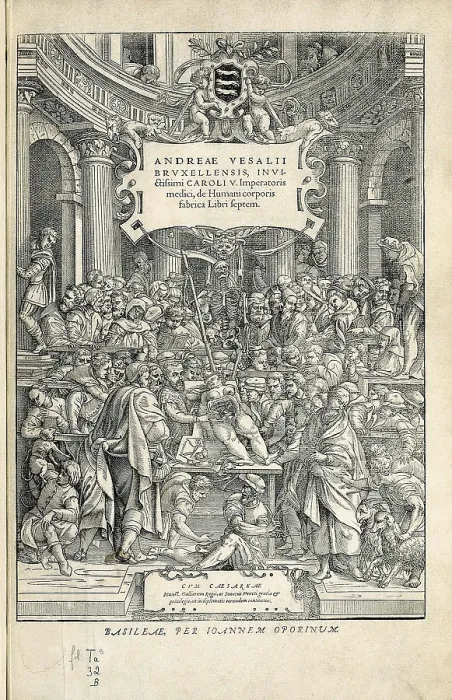 Framed Print : Vesalius, Andreas (1514-1564). 'De Humanis Corporis Fabrica'. First edition of the work executed in Basel in 1543. Etching. FRANCE. Paris. National Library Framed Print : Vesalius, Andreas (1514-1564). 'De Humanis Corporis Fabrica'. First edition of the work executed in Basel in 1543. Etching. FRANCE. Paris. National Library