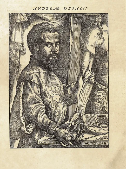 Framed Print : Vesalius, Andreas (1514-1564). De Humanis Corporis Fabrica'. First edition of the work executed in Basel in 1543. Portrait of Vesalio, dated in 1542. Etching. FRANCE. Paris