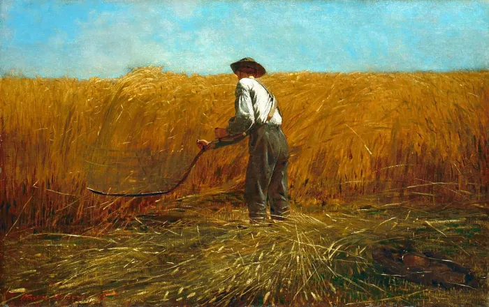 Framed Print : THE VETERAN IN THE FIELD, by Winslow Homer, 1865, American painting, oil on canvas. A farmer harvests ripe wheat with an traditional scythe