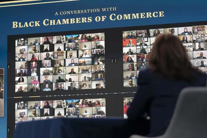 Framed Print : Vice President Kamala Harris attends a virtual economic conference with Secretary of the Treasury, Dr. Janet Yellen, and members of Black Chambers of Commerce, Feb Framed Print : Vice President Kamala Harris attends a virtual economic conference with Secretary of the Treasury, Dr. Janet Yellen, and members of Black Chambers of Commerce, Feb