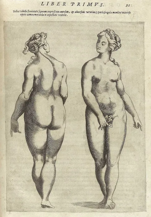 Framed Print : Front and back view of an idealized, fully proportioned nude woman. From Giambattista della Porta's work, DE HUMANA PHYSIOGNOMONIA, 1586