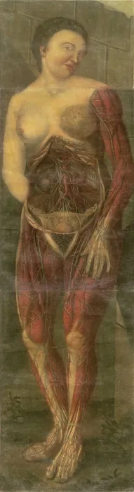 Framed Print : Visually sensational anatomical illustration of a woman from ANATOMIE GENERALE DES VISCERES, by Gautier d'Agoty, 1722