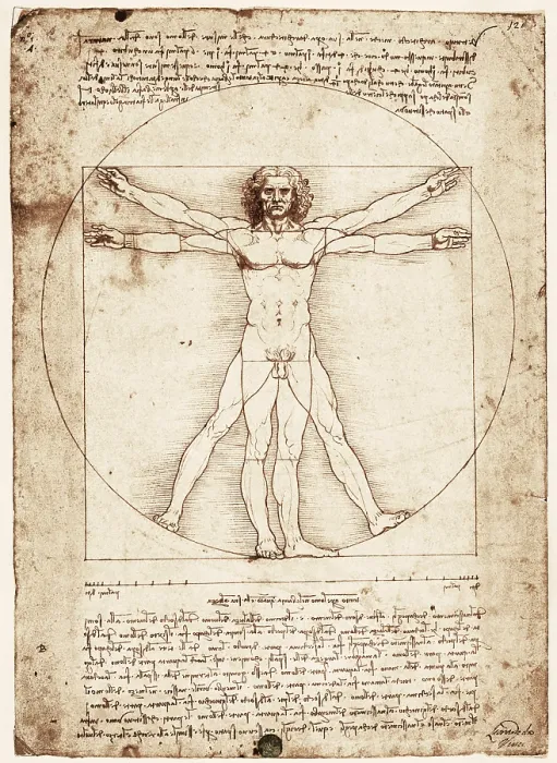 Framed Print : Vitruvian Man. 1492. Renaissance art. Cinquecento. Drawing. ITALY. Venice. Gallerie dell'Accademia (Academy Gallery). - Iberfoto / Everett Collection (593310)**US SALES ONLY**
