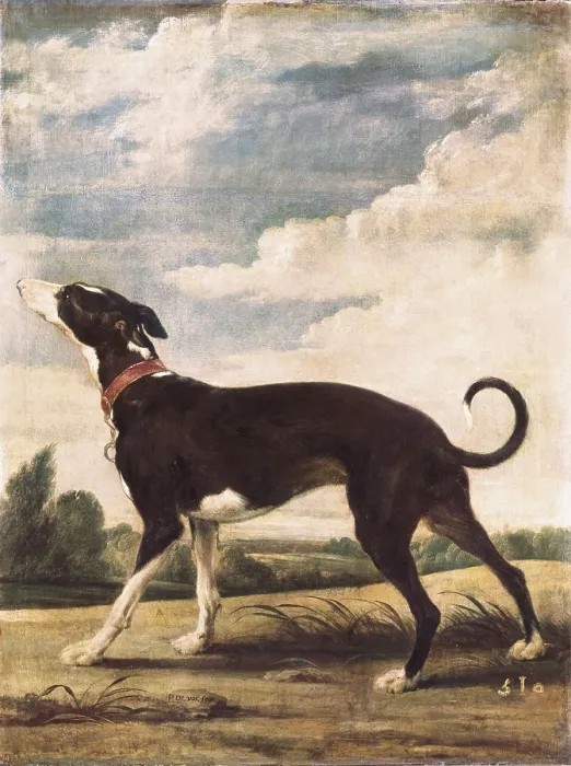 Framed Print : VOS, Paul de (1596-1678). A Greyhound lying in wait. 1610 - 1678. Flemish art. Oil on canvas. SPAIN. Madrid. Prado Museum. AISA / Everett Collection**US SALES ONLY**