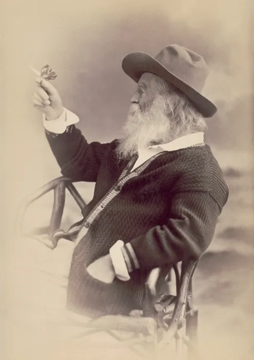 Framed Print : Walt Whitman, 1877, holds a cardboard butterfly while seated. The photograph by W. Curtis Taylor was intended to be the frontispiece for a new edition of Leaves of Grass