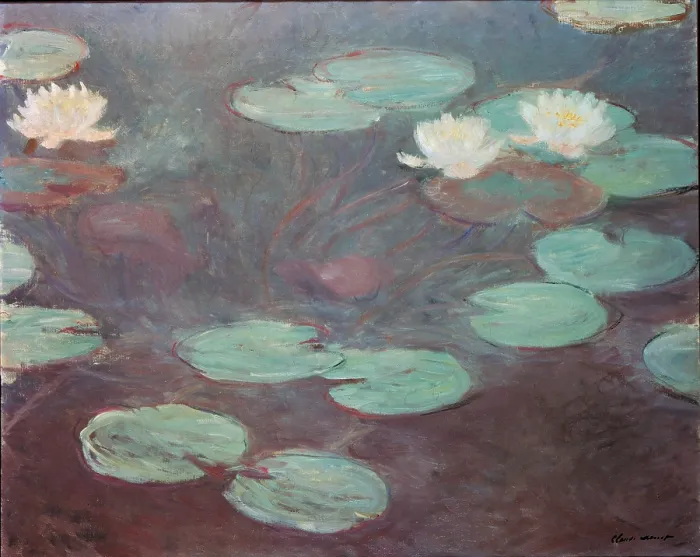 Framed Print : Water lilies (or Nympheas), by Claude Monet, 1906, 20th Century, oil on canvas, cm 81 x 100 - Italy, Lazio, Rome, National Gallery of Modern Art. All Framed Print : Water lilies (or Nympheas), by Claude Monet, 1906, 20th Century, oil on canvas, cm 81 x 100 - Italy, Lazio, Rome, National Gallery of Modern Art. All