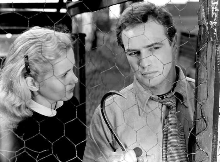 Framed Print : ON THE WATERFRONT, Eva Marie Saint, Marlon Brando, 1954
