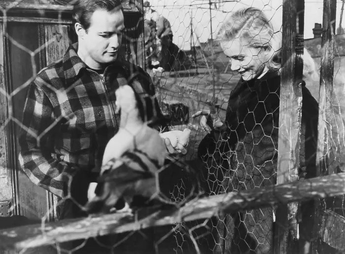 Framed Print : ON THE WATERFRONT, from left: Marlon Brando, Eva Marie Saint, 1954