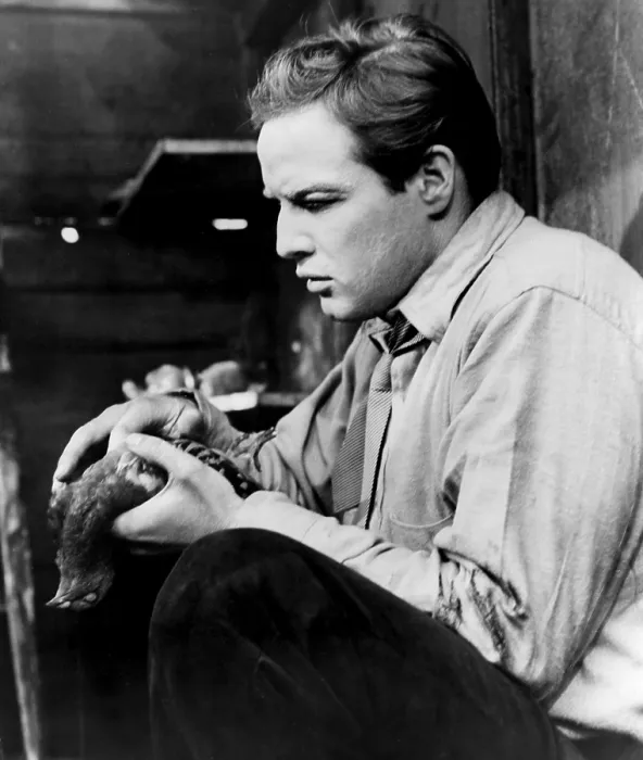 Framed Print : ON THE WATERFRONT, Marlon Brando, 1954