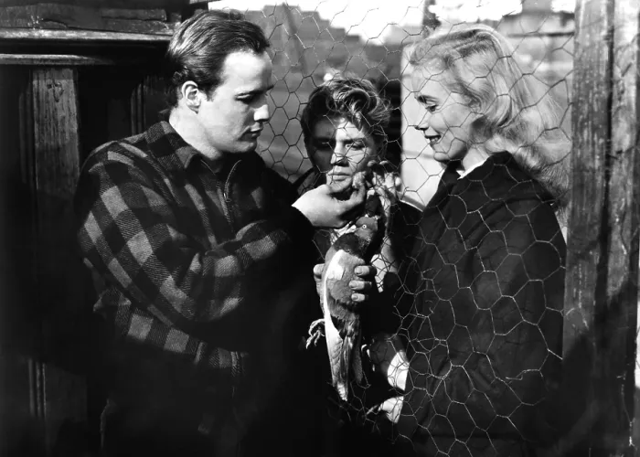 Framed Print : ON THE WATERFRONT, Marlon Brando, Arthur Keegan, Eva Marie Saint, 1954 Framed Print : ON THE WATERFRONT, Marlon Brando, Arthur Keegan, Eva Marie Saint, 1954