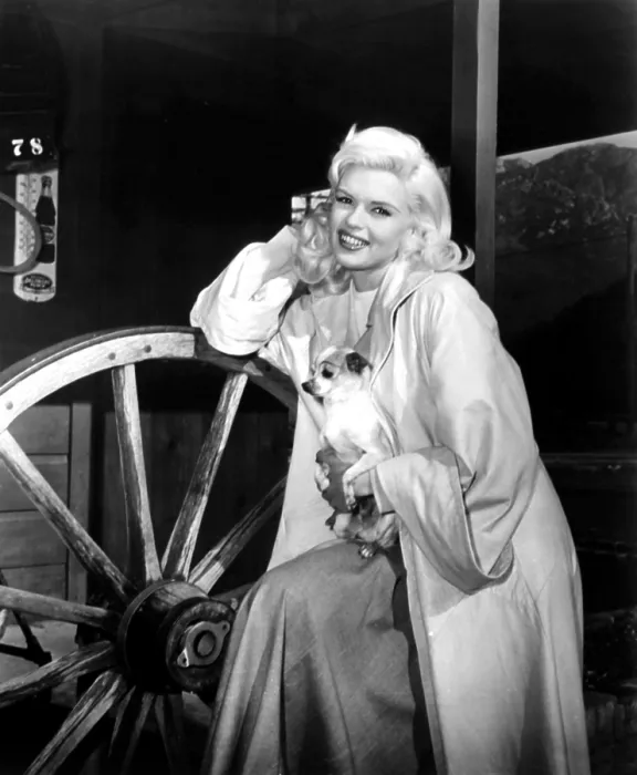 Framed Print : THE WAYWARD BUS, Jayne Mansfield, on-set, with one of her many chihuahuas, 1957, TM and Copyright 20th Century Fox Film Corp. All rights reserved. Courtesy: Everett Collection