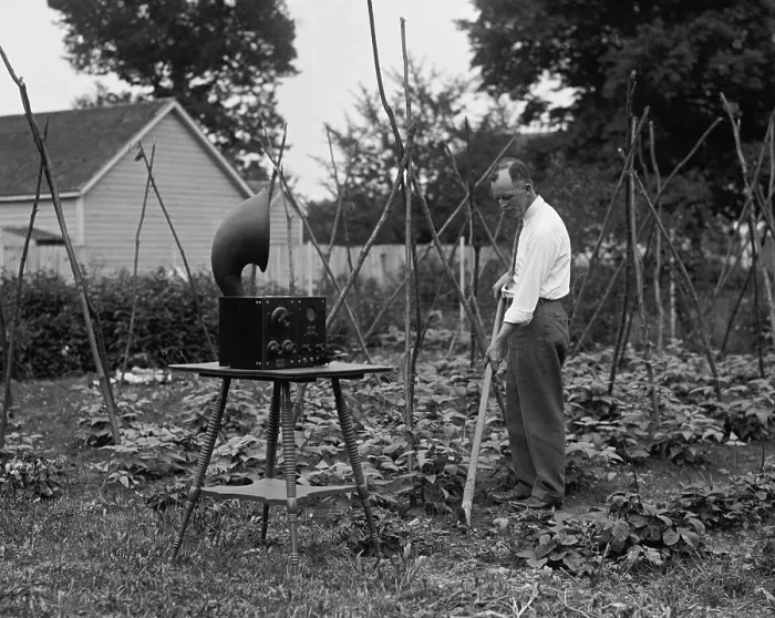 Framed Print : W.D. Terrell gardening with a radio nearby, July 7, 1926 Framed Print : W.D. Terrell gardening with a radio nearby, July 7, 1926