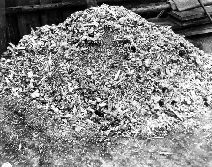 Framed Print : WEIMAR, GERMANY--This heap of ashes and bones represents a single day's killing at the German Concentration Camp at Weimar. 4 / 25 / 45