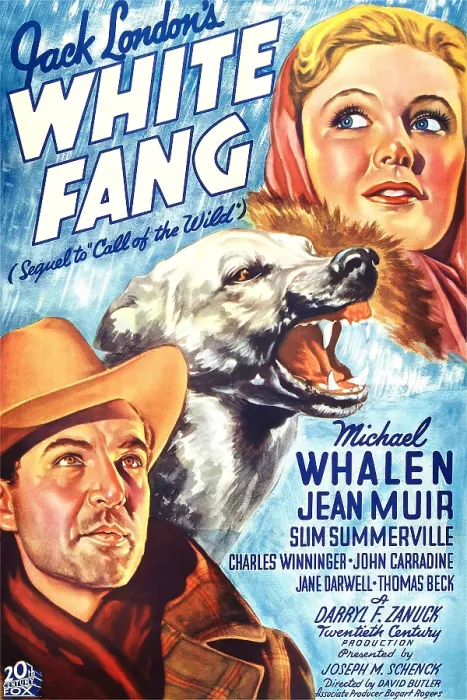 Framed Print : WHITE FANG, US poster art, from left: Michael Whalen, Lightning the Wonder Dog, Jean Muir, 1936. TM & copyright 20th Century Fox Film Corp Framed Print : WHITE FANG, US poster art, from left: Michael Whalen, Lightning the Wonder Dog, Jean Muir, 1936. TM & copyright 20th Century Fox Film Corp