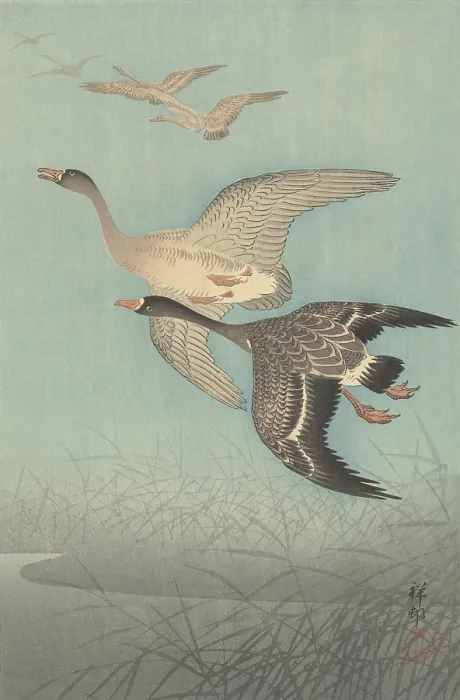 Framed Print : White-Fronted Geese in Flight, by Ohara Koson, 1925-36, Japanese print, color woodcut (BSLOC_2016_3_288)