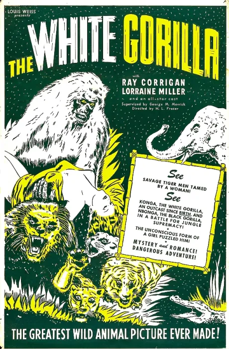 Framed Print : THE WHITE GORILLA, US poster, 1945