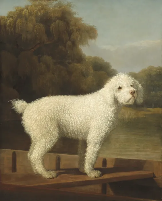 Framed Print : White Poodle in a Punt, by George Stubbs, 1780, British painting, oil on canvas Framed Print : White Poodle in a Punt, by George Stubbs, 1780, British painting, oil on canvas