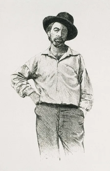 Framed Print : WHITMAN, Walt (1819-1892). Portrait of Walt Whitman aged 36 years old. Engraving. AISA / Everett Collection**US SALES ONLY**