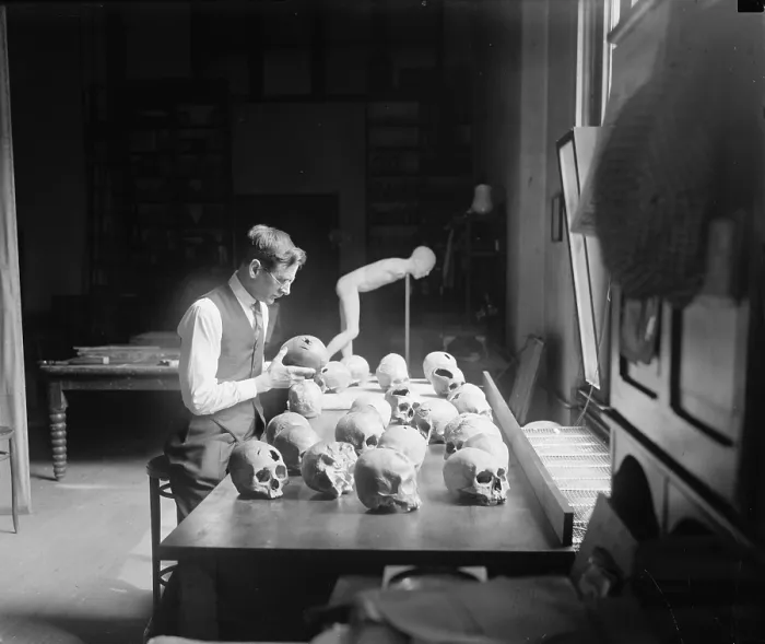 Framed Print : William H. Egberts (1868- 1959) at the Smithsonian's Anthropological Laboratory in 1926