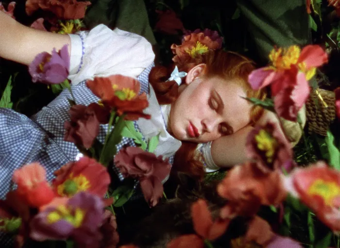 Framed Print : THE WIZARD OF OZ, Judy Garland, 1939