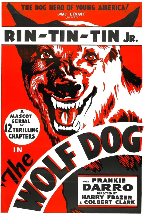 Framed Print : THE WOLF DOG, Rin Tin Tin Jr. 1933