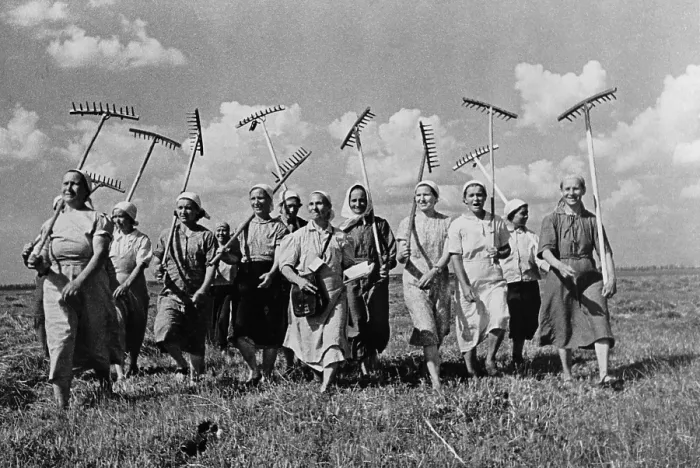 Framed Print : Women collective farmers replace the men who are fighting in World War 2. Klishevo collective farm, near Moscow, USSR, ca. 1941. (BSLOC_2013_9_103) Framed Print : Women collective farmers replace the men who are fighting in World War 2. Klishevo collective farm, near Moscow, USSR, ca. 1941. (BSLOC_2013_9_103)
