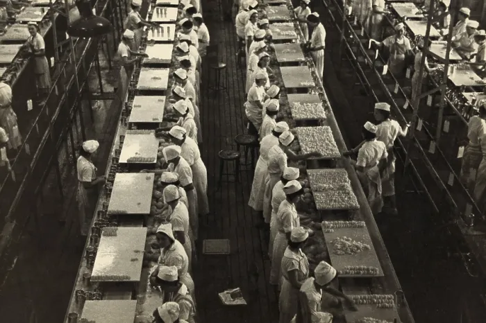 Framed Print : Women working in a grapefruit canning factory at Winter Haven, Florida