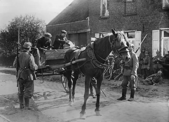 Framed Print : World War 1. Belgian peasants in a horse-drawn cart, showing a pass to soldiers during the World War I German occupation of Belgium. 1914-15 Framed Print : World War 1. Belgian peasants in a horse-drawn cart, showing a pass to soldiers during the World War I German occupation of Belgium. 1914-15