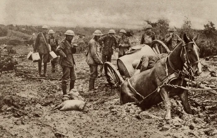 Framed Print : World War 1. British horse sunk to his haunches in the clinging mud of Flanders, during one of the five Battles of Ypres. This coastal region became a mud quagmire in each Fall