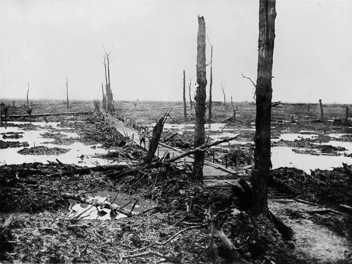 Framed Print : World War 1. No Man's Land - once a forest in Flanders's Fields after four years as a battleground in World War 1. Photo ca. 1919 by F.J. Lamphere Framed Print : World War 1. No Man's Land - once a forest in Flanders's Fields after four years as a battleground in World War 1. Photo ca. 1919 by F.J. Lamphere