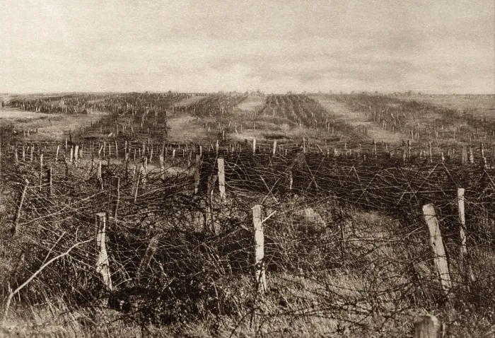 Framed Print : World War 1. Miles of barbed wire forms a maze of twisted stands through which attacking troops must penetration