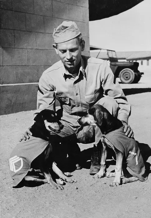 Framed Print : World War II, Private First Class Norman Diamond, gives a congratulatory pat to Staff Sergeant Basic and Private First Class Adler